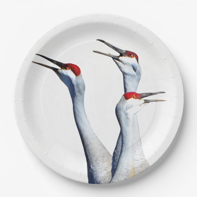 3 Sandhill Cranes Photo Paper Plates (Front)