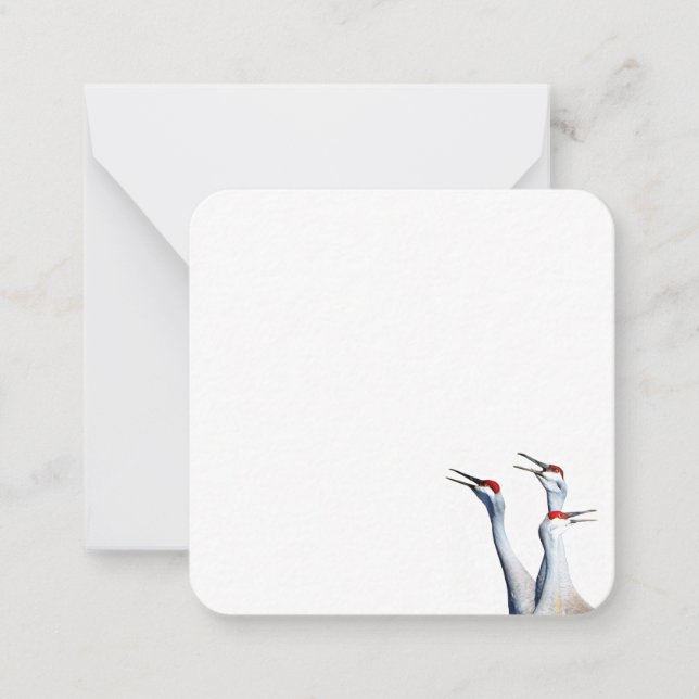 3 Sandhill Cranes Photo Stationery Flat Note Cards (Front)