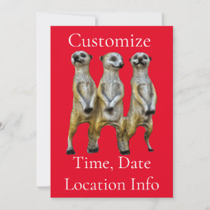 3 Standing Meerkats Thunder_Cove  Invitation