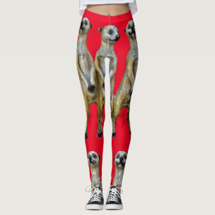 3 Standing Meerkats Thunder_Cove Leggings