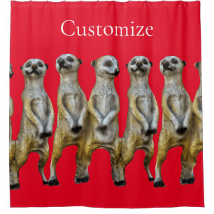 3 Standing Meerkats Thunder_Cove Shower Curtain