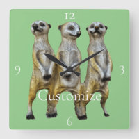 3 Standing Meerkats Thunder_Cove