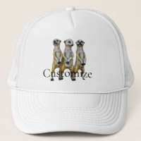 3 Standing Meerkats Thunder_Cove