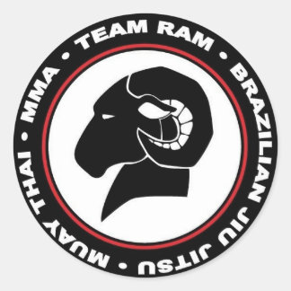 3" Stickers, Set of Six, Red and Black Logo Classic Round Sticker