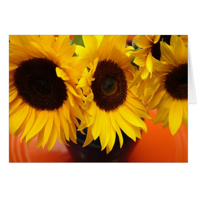 3 sunflowers (Front Horizontal)