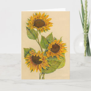 3 Sunflowers Greeting Card
