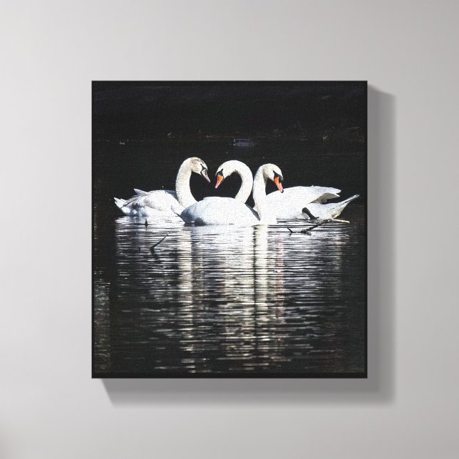 3 Swans and Reflections Canvas Print (Front)