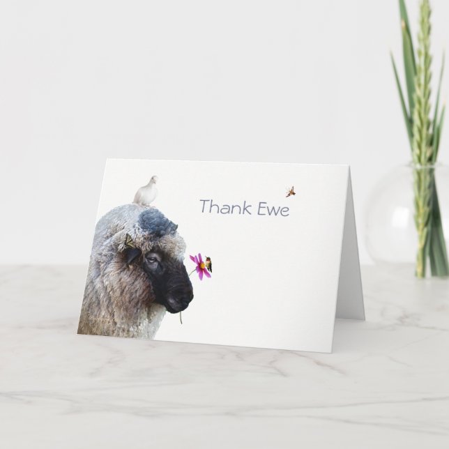 #3 Thank Ewe: Thank you-- A whimsical card (Front)