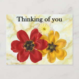 3 Thinking of you Postcard