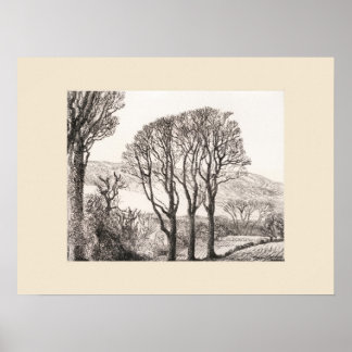 3 Trees Cornwall Print, Eleanor M Hughes Re-Strike Poster