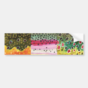 3 Trout Skins: Brook, Rainbow, Brown - Fly Fishing Bumper Sticker
