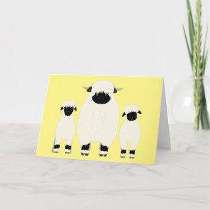 3 Valais Black Nose Sheep in a Row Card