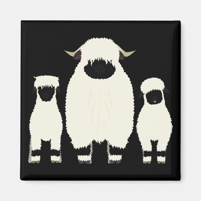 3 Valais Sheep in a row Magnet (Front)