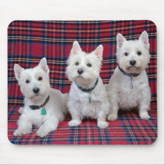 3 Westies Mouse Mat