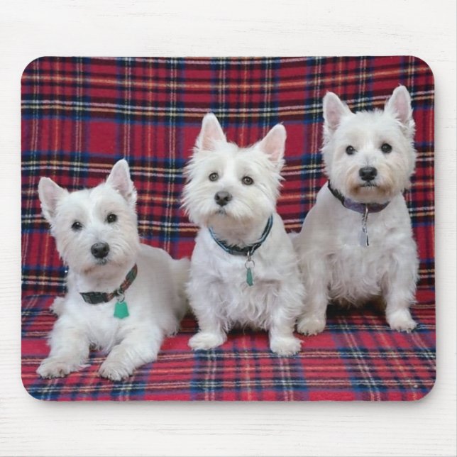3 Westies Mouse Mat (Front)