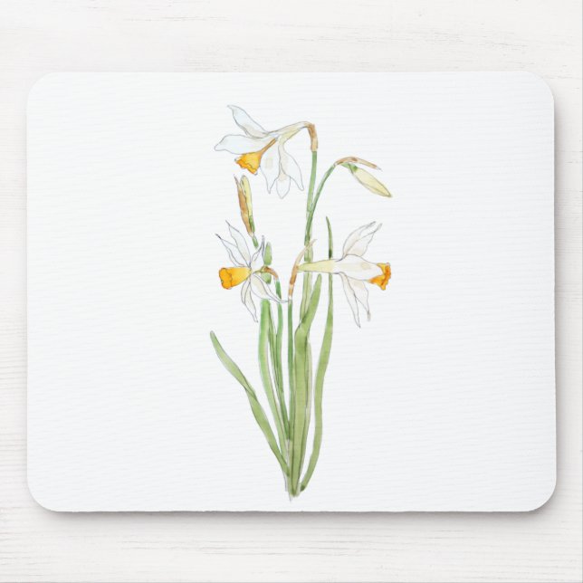 3 white daffodils in and watercolor mouse mat (Front)