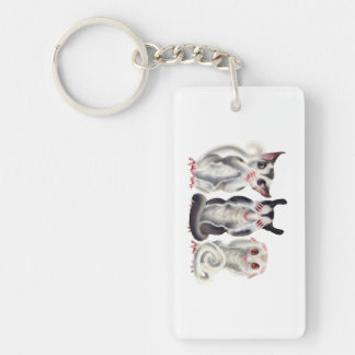 3 wise sugar gliders keychain