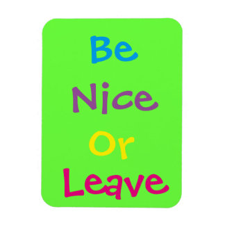 3"x4" Be Nice Photo Magnet