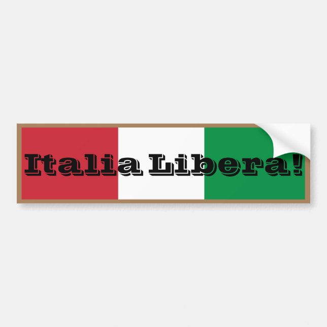 3" X 11" Traditional  Bumper Sticker (Front)