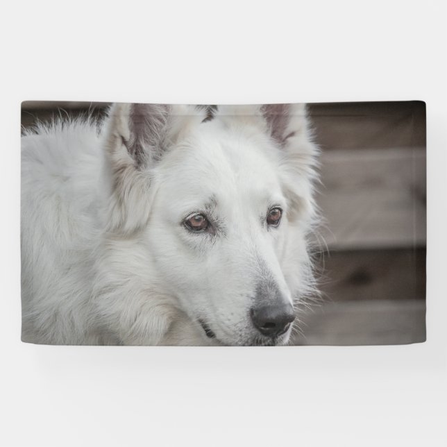 3' x 5' Banner (Horizontal)