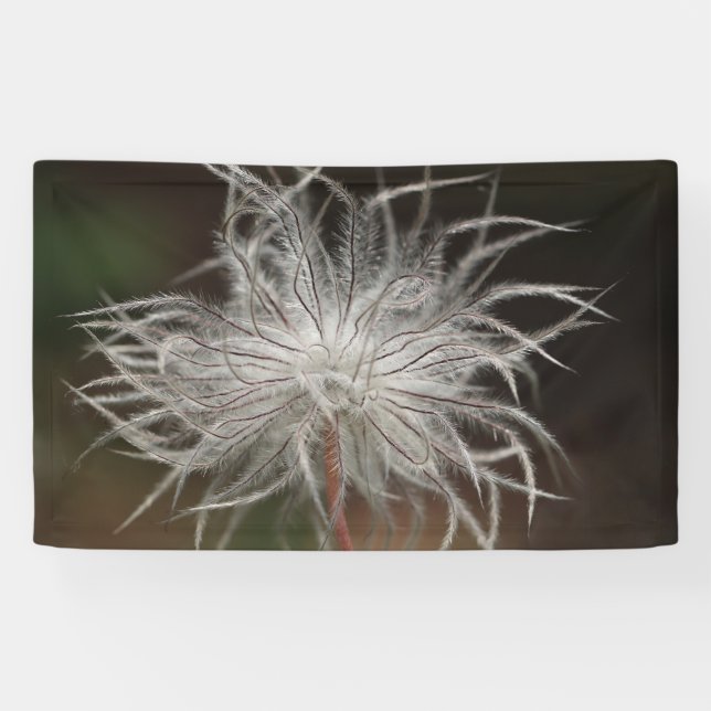 3' x 5' Banner (Horizontal)