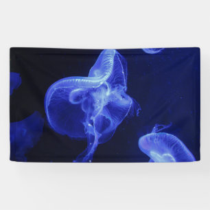 3' x 5' Banner