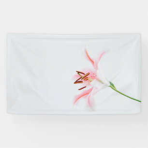 3' x 5' Banner
