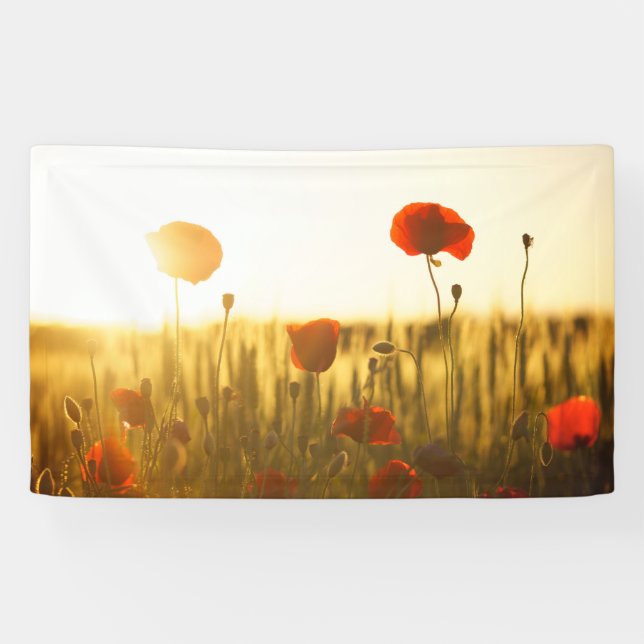 3' x 5' Banner (Horizontal)