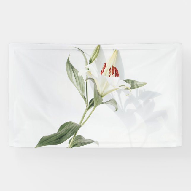 3' x 5' Banner (Horizontal)