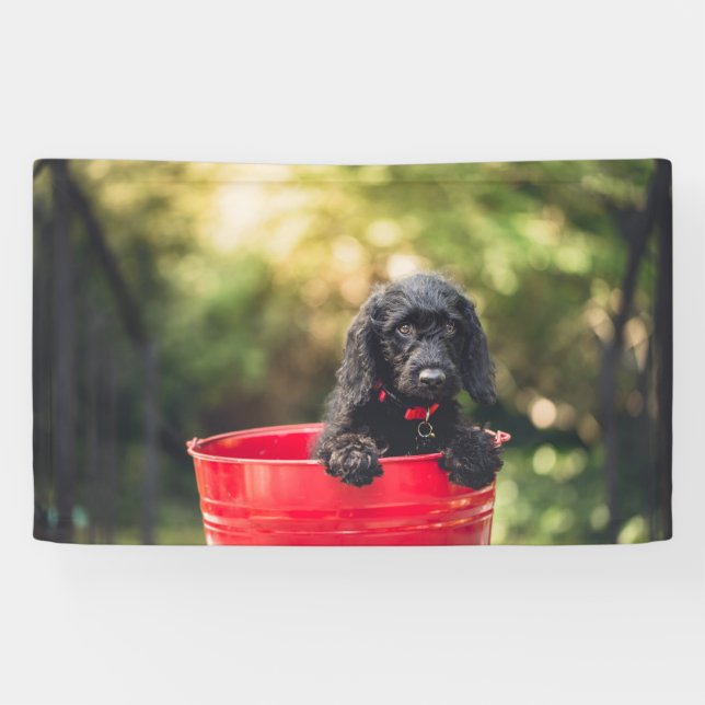 3' x 5' Banner (Horizontal)