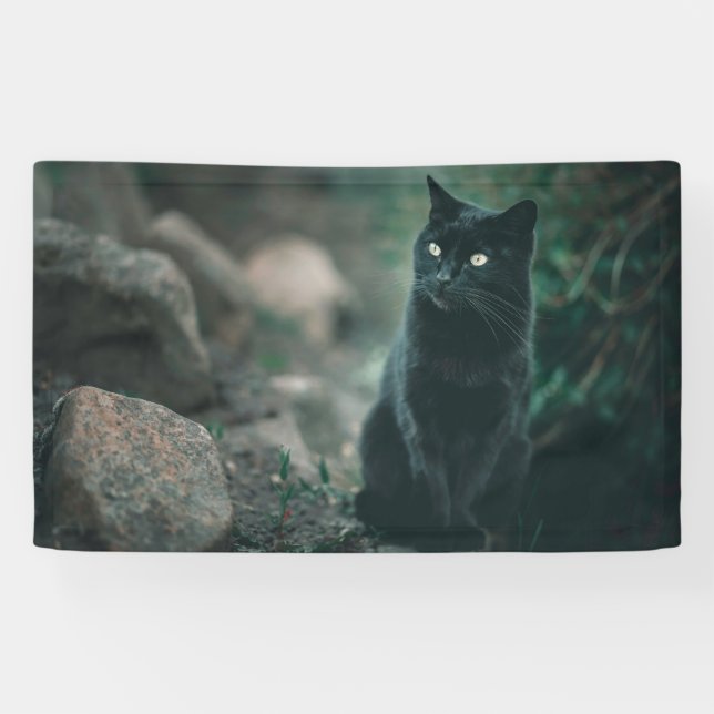 3' x 5' Banner (Horizontal)