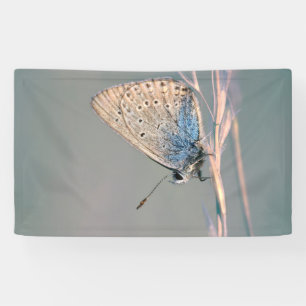 3' x 5' Banner