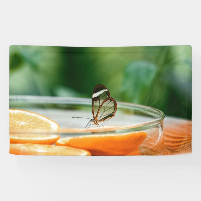 3' x 5' Banner (Horizontal)