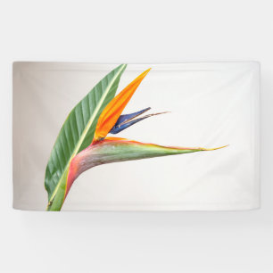 3' x 5' Banner