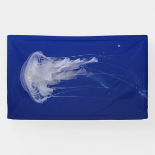 3' x 5' Banner