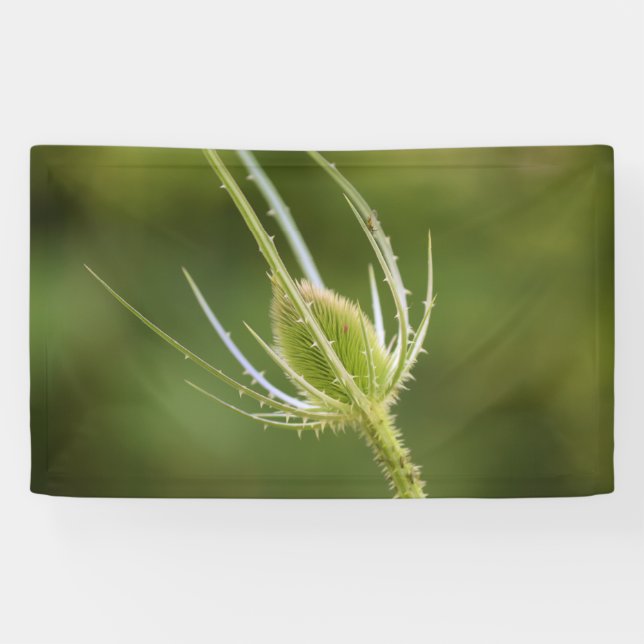 3' x 5' Banner (Horizontal)