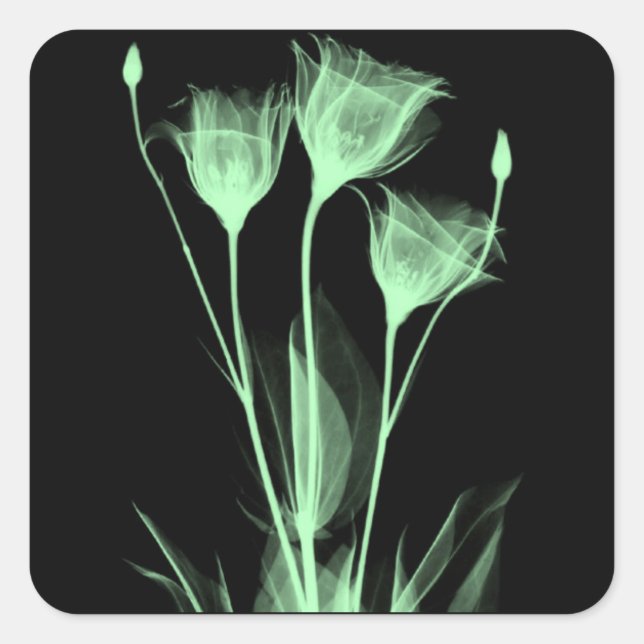 3 X-Ray Flowers Wine Label (Front)