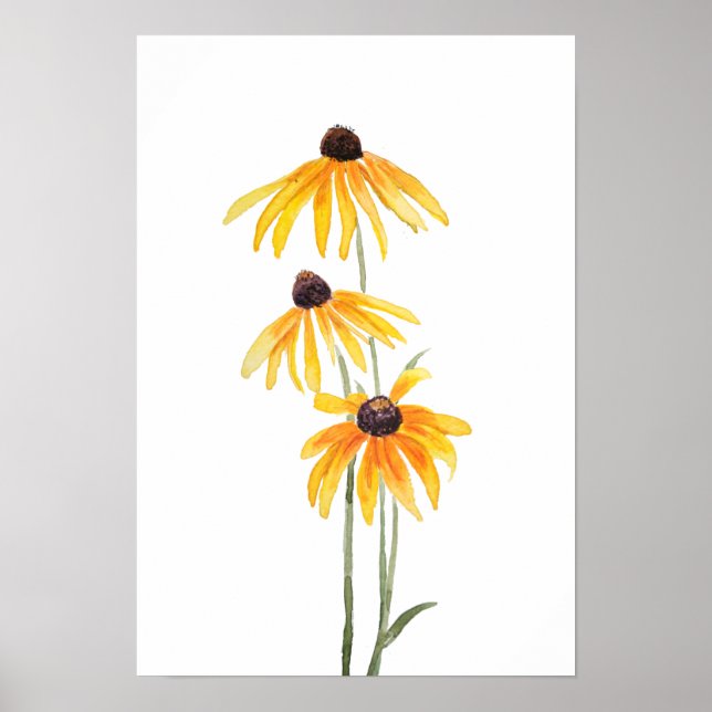 3 yellow black eyed Susan gloriosa daises watercol Poster (Front)