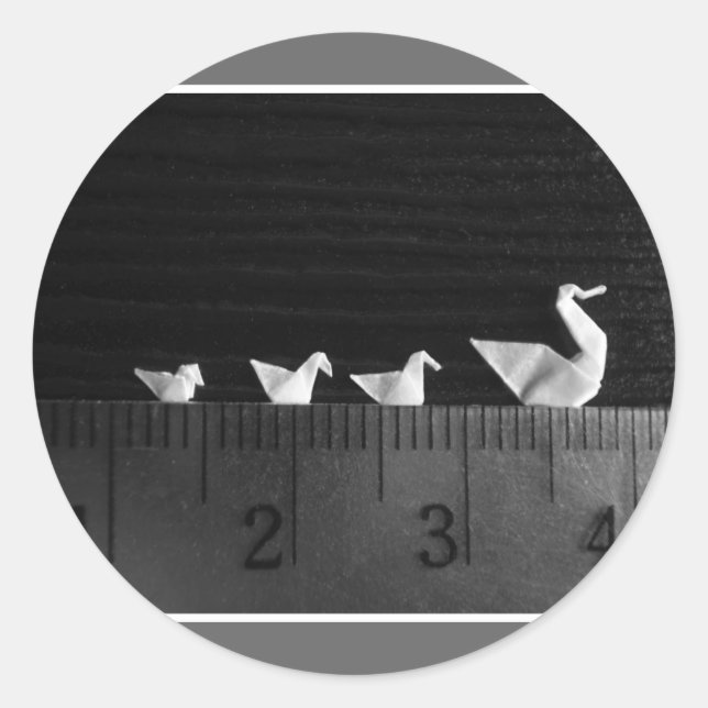 3cm Family Swim Classic Round Sticker (Front)