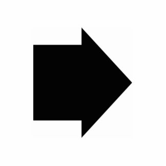 3d Arrow Standing Photo Sculpture