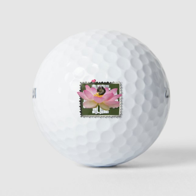 3D Framed Adorable Baby Squirrel On Flower Golf Balls (Front)