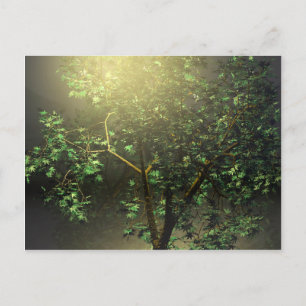 3D Japanese Maple Tree Postcard