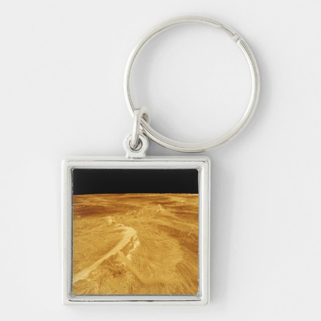 3D Perspective View of Latona Vorona Key Ring (Front)