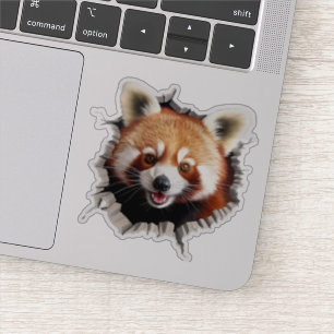 3D Red Panda Wall Break Art – Realistic Safari
