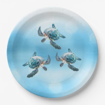 3D Sea Turtles  Ocean Themed
