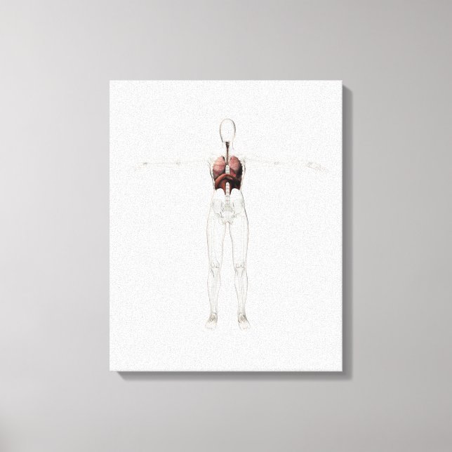 3D View Of The Female Respiratory System Canvas Print (Front)
