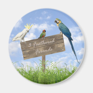 3FF magnet