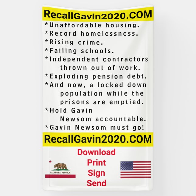 3ft x 5ft recallgavin2020 banner (Vertical)