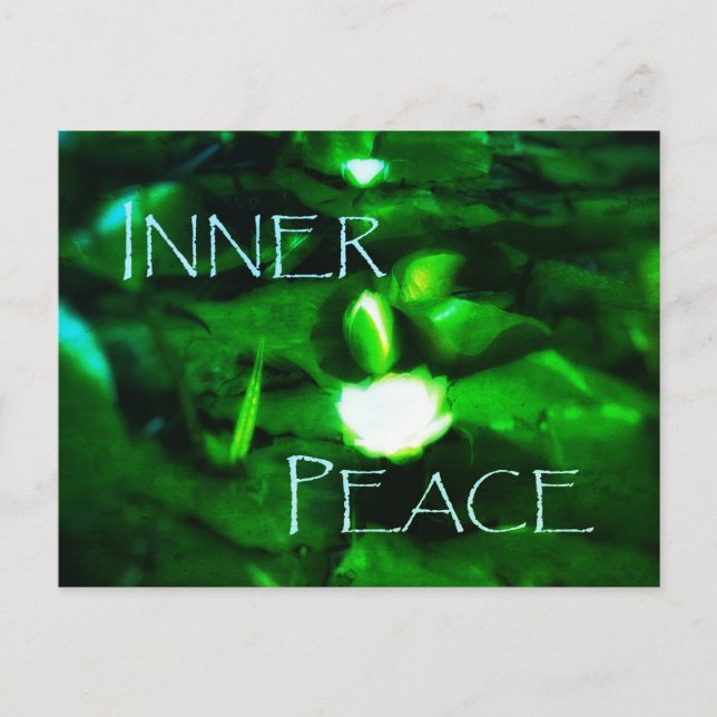 3INNER PEACE WATERLILY POSTCARD (Front)