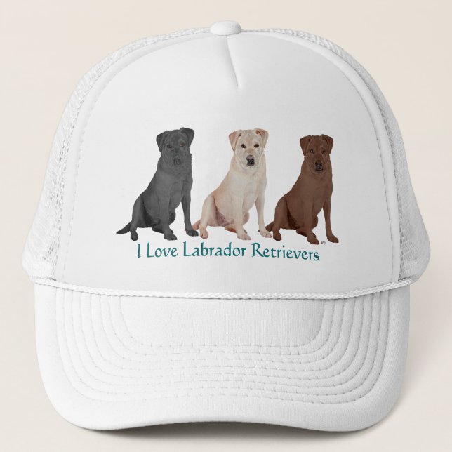 3Labs Trucker Hat (Front)